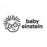 Baby Einstein (1)